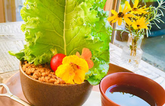 畑のアキウ舎ボウル 大豆ミート使用