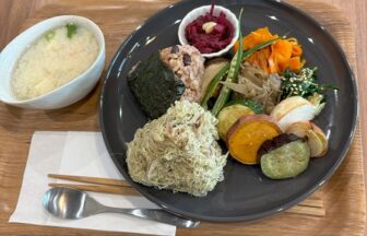 酵素玄米セット②